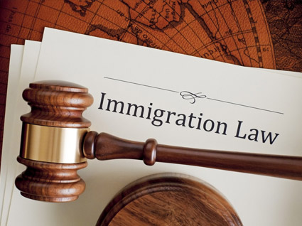 Immigration Law